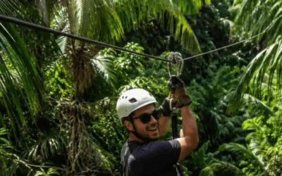 A man is ziplining around trees