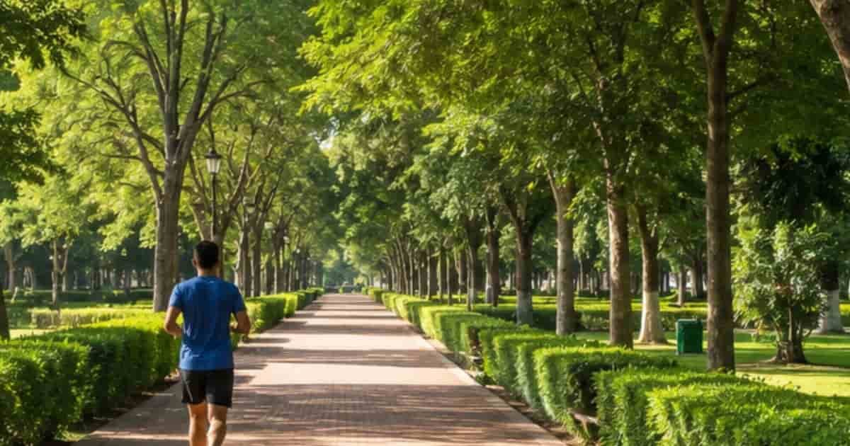 Brick walking path with a jogger, tall trees, and trimmed green hedges at the park