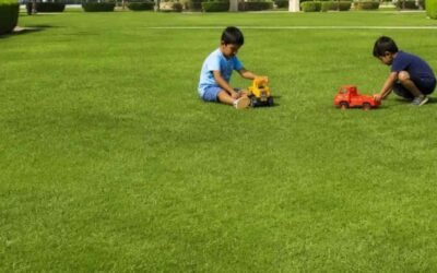 Babies are Playing in formal park