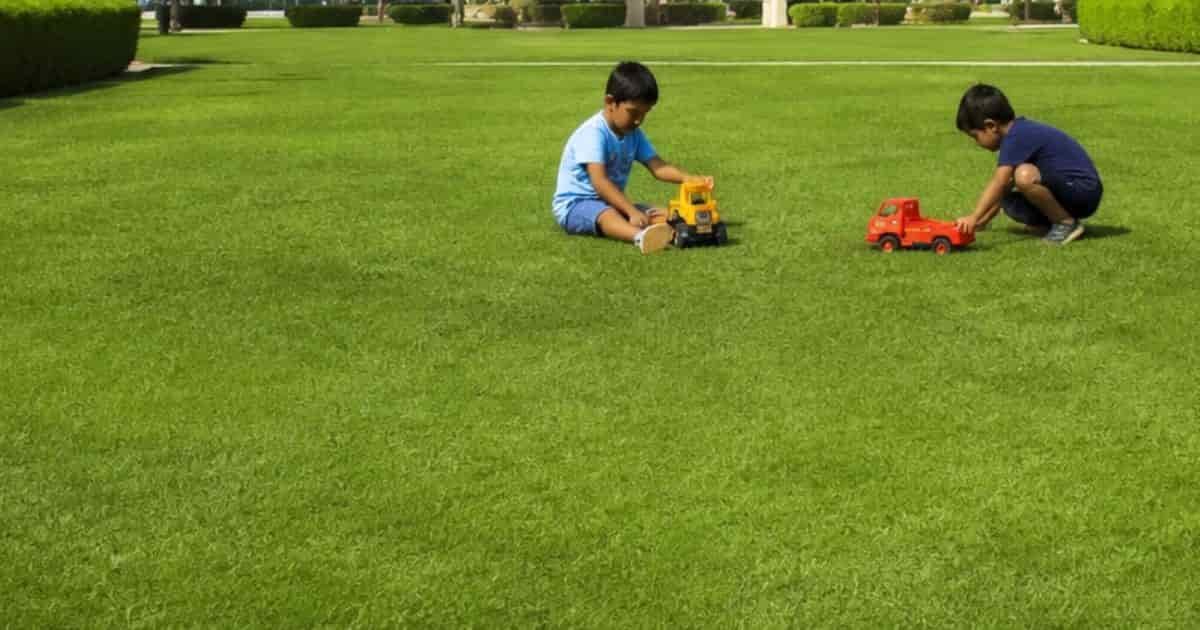 Babies are Playing in formal park