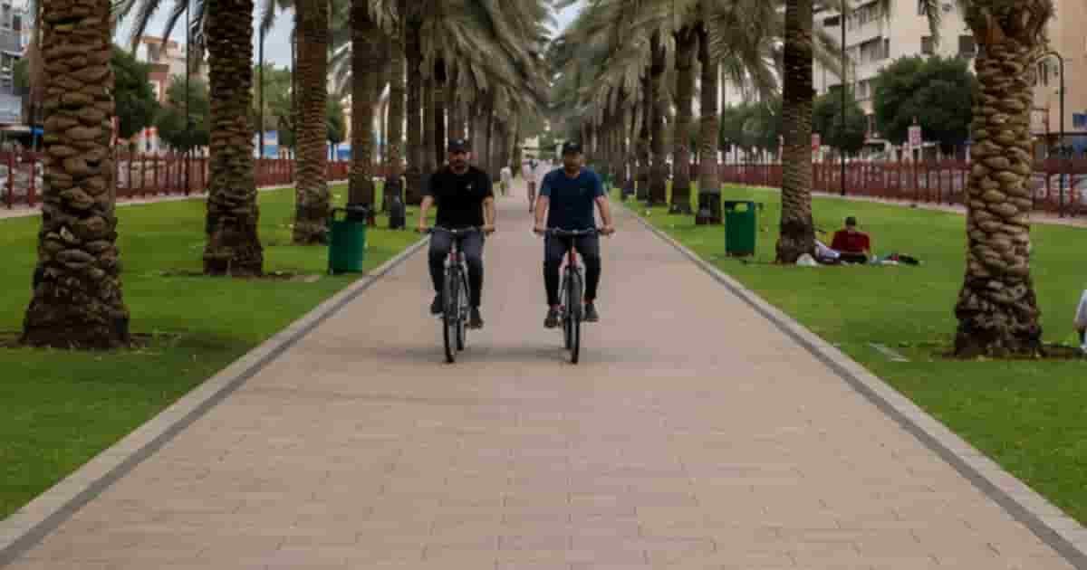Al Muteena Park