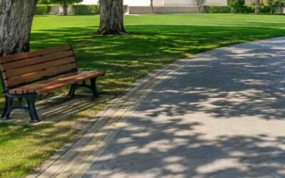 Shaded walking path with green lawns and mature trees in the Park