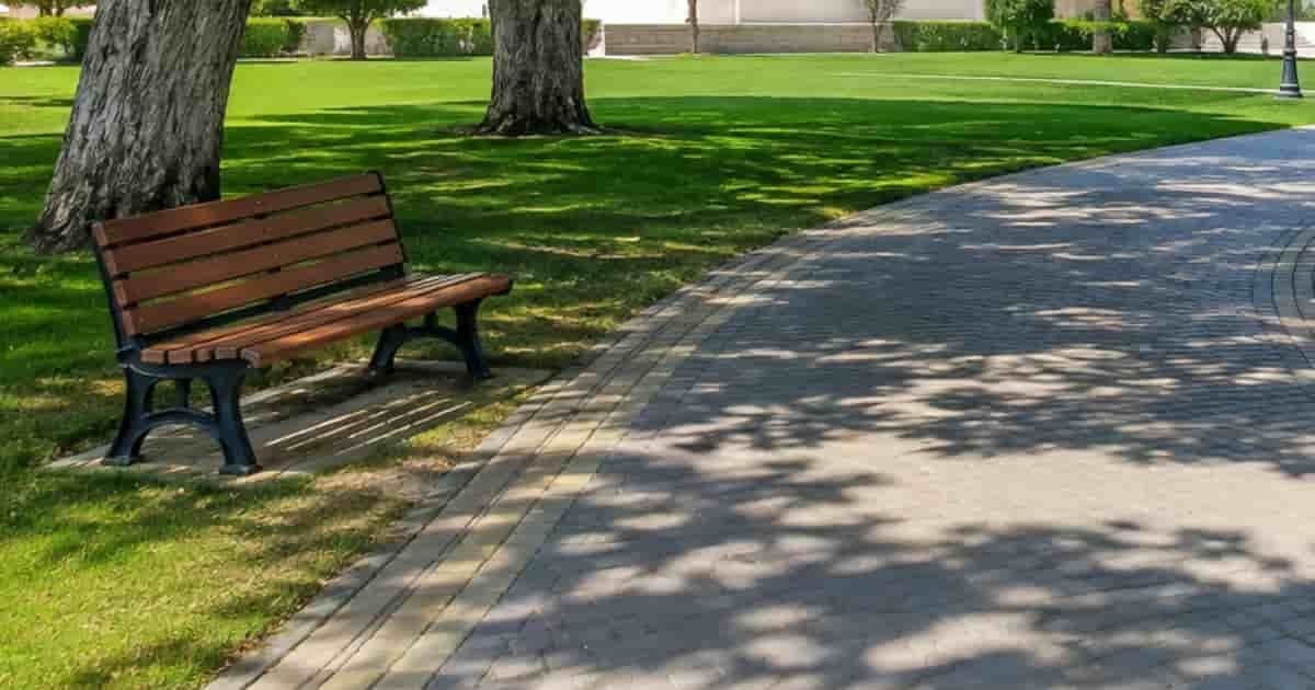 Shaded walking path with green lawns and mature trees in the Park
